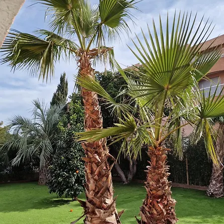 De A 700 Metres De La Plage, Totalement Independant Et Accessible Par Un Escalier Exterieur * Sainte-Maxime