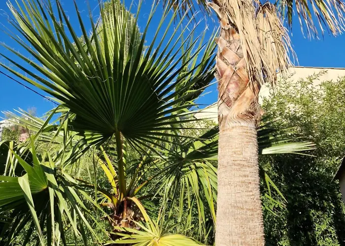 De à 700 Mètres De La Plage, Totalement Indépendant Et Accessible Par Un Escalier Extérieur Apartamento Sainte-Maxime