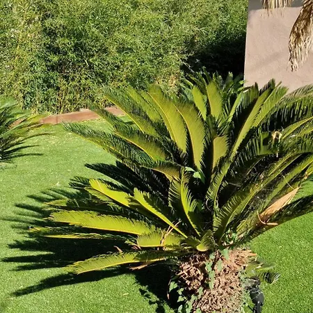De A 700 Metres De La Plage, Totalement Independant Et Accessible Par Un Escalier Exterieur Apartment *