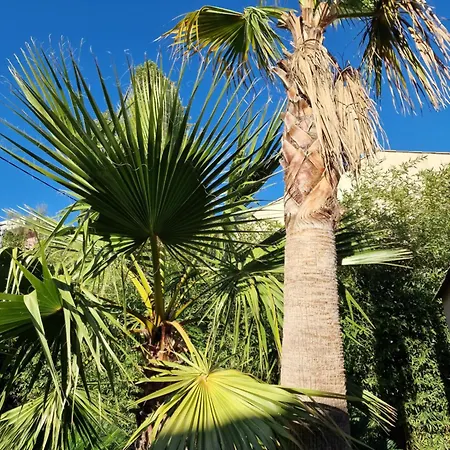 De à 700 Mètres De La Plage, Totalement Indépendant Et Accessible Par Un Escalier Extérieur Appartement Sainte-Maxime