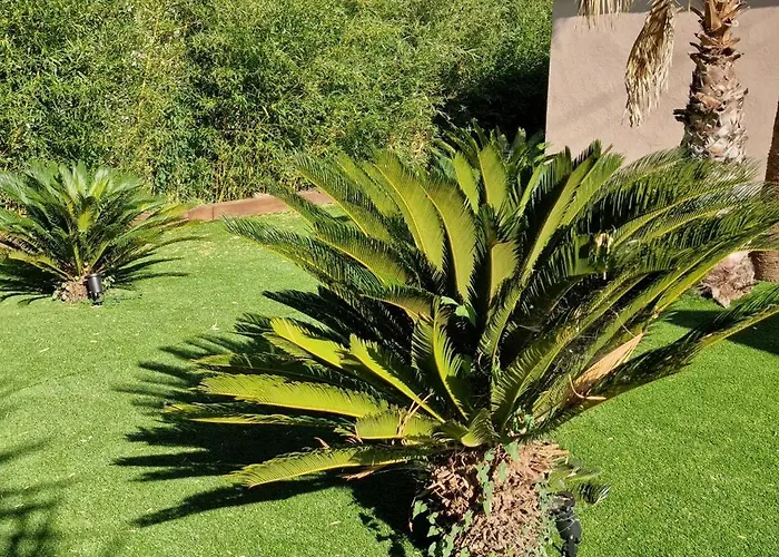 De A 700 Metres De La Plage, Totalement Independant Et Accessible Par Un Escalier Exterieur Lägenhet *